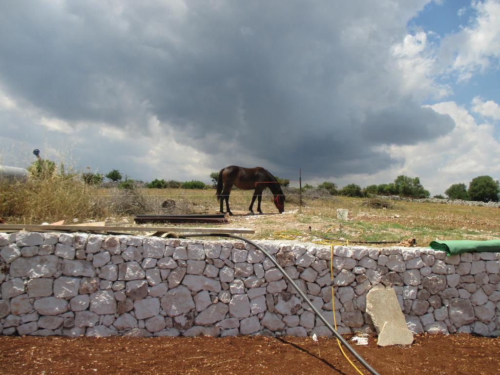 Le Mangiatoie Del Re Giordano Villa Avola Kültér fotó